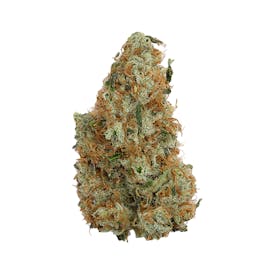 Faded Cannabis Co. - Pave