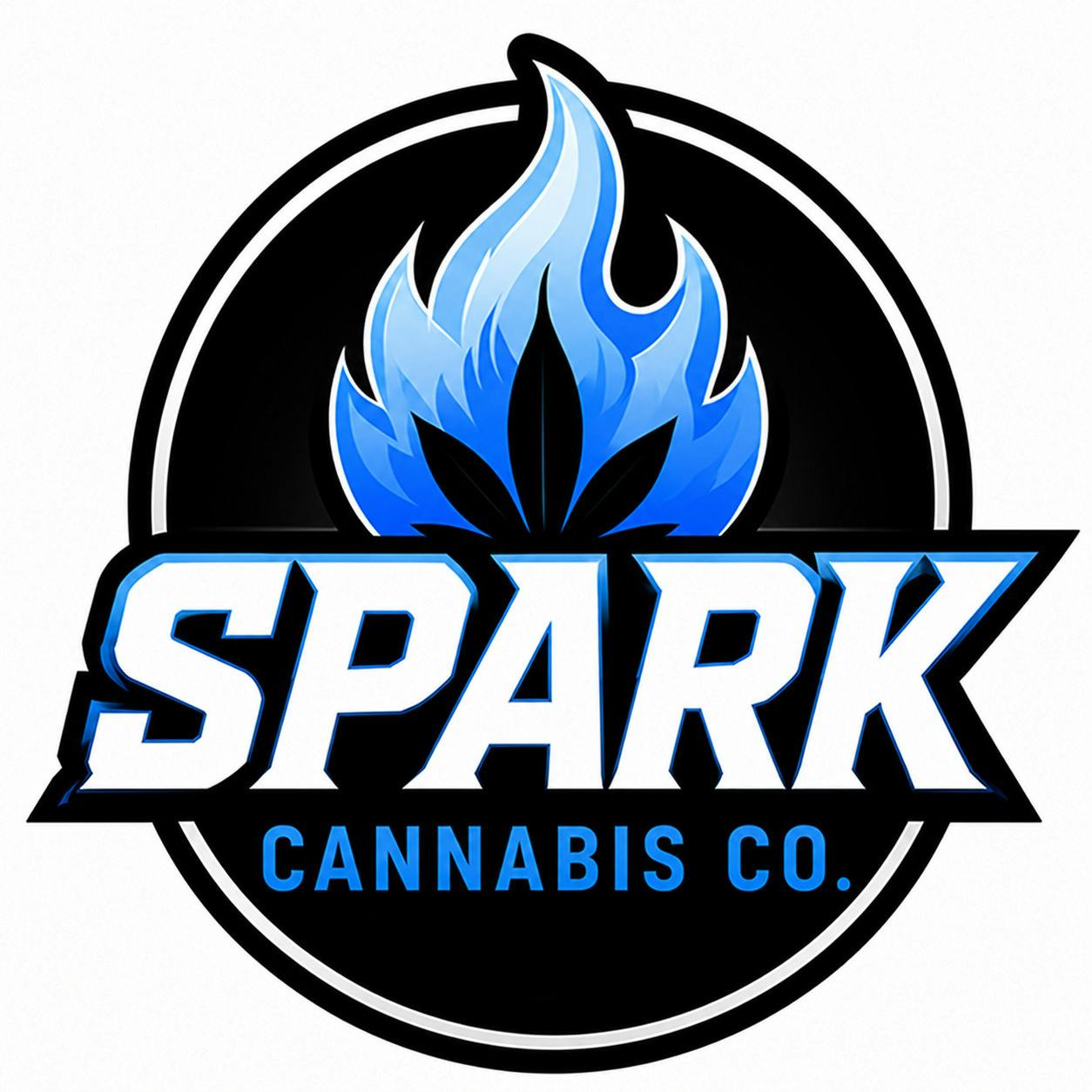 Spark '26 Black w/ Blue Flame Logo T-Shirt