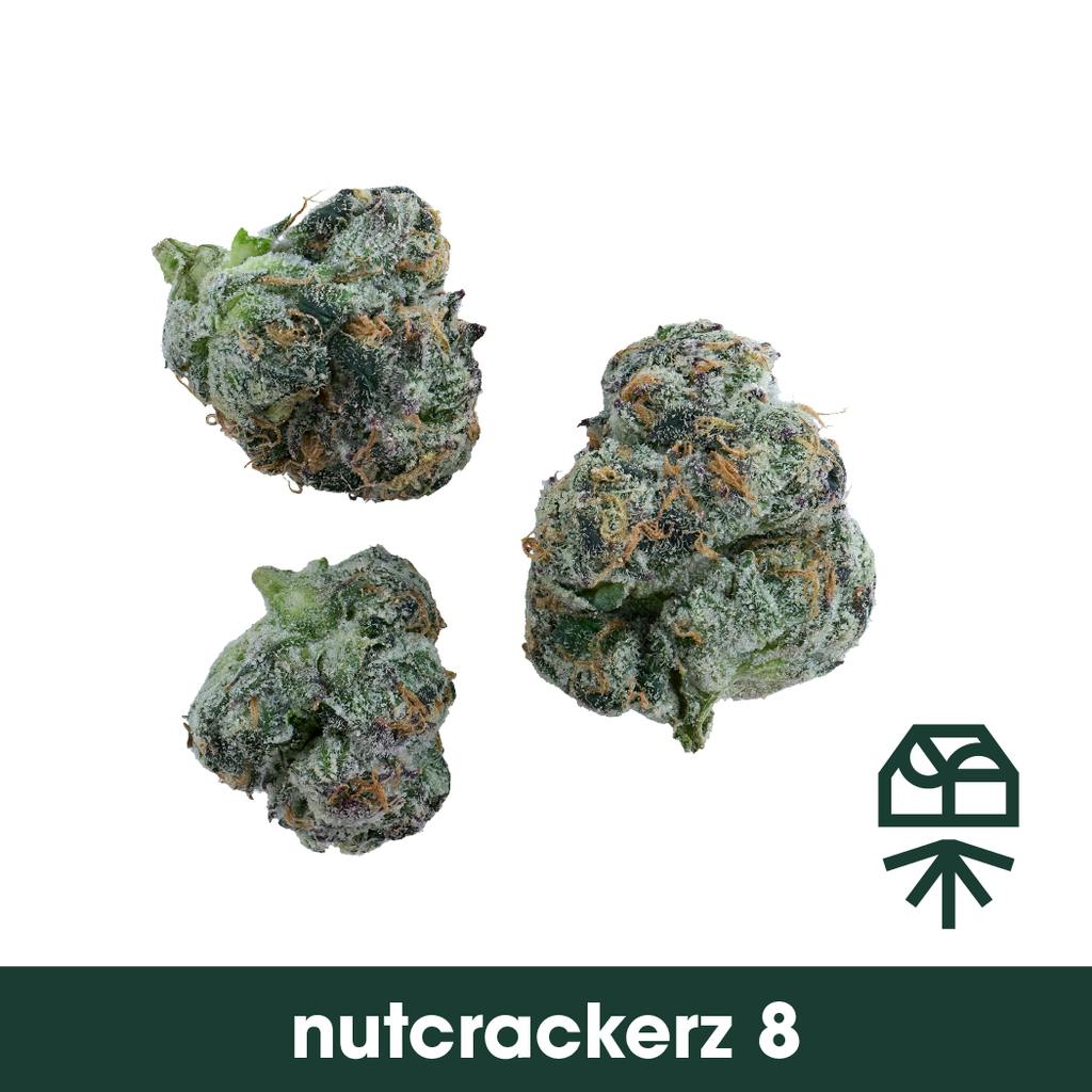 Nutcrackerz 8