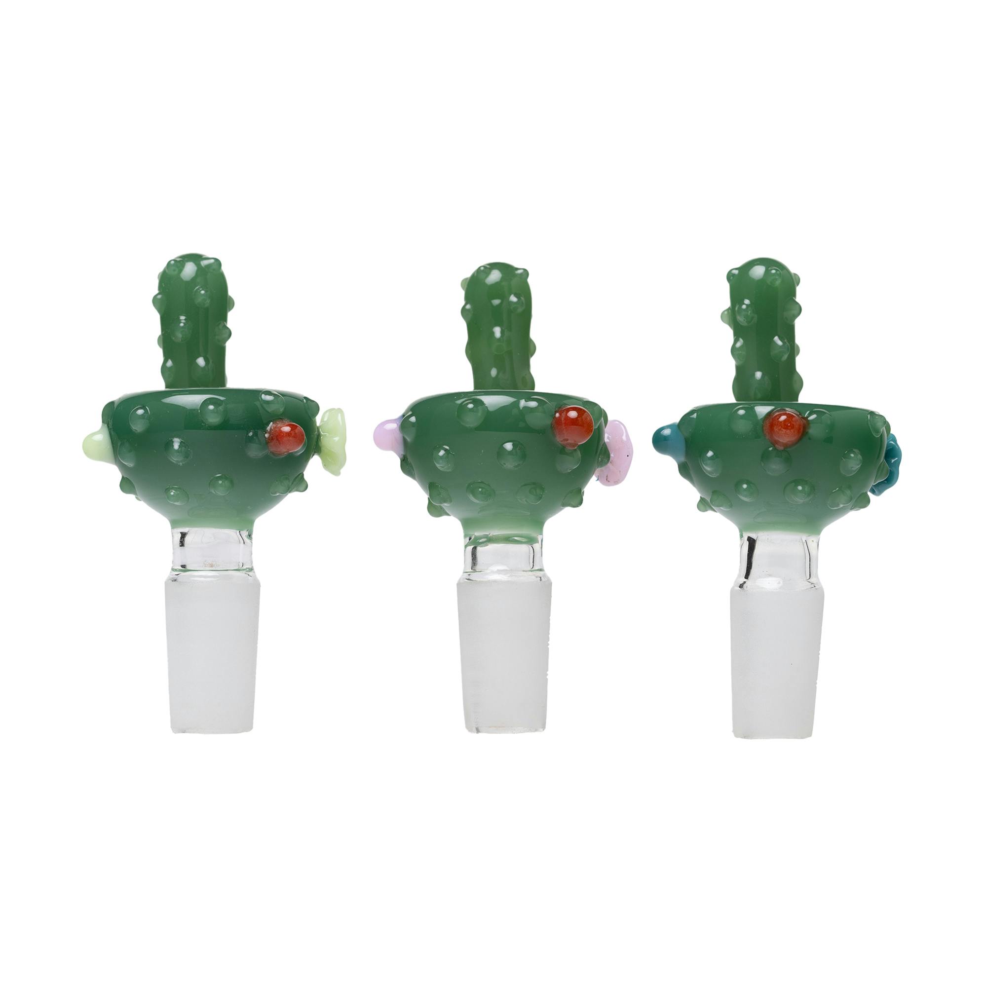 M, Cactus Bowl
