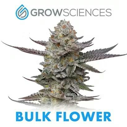 LEMON STRAWZ at truBLISS | Medical & Recreational Marijuana Dispensary