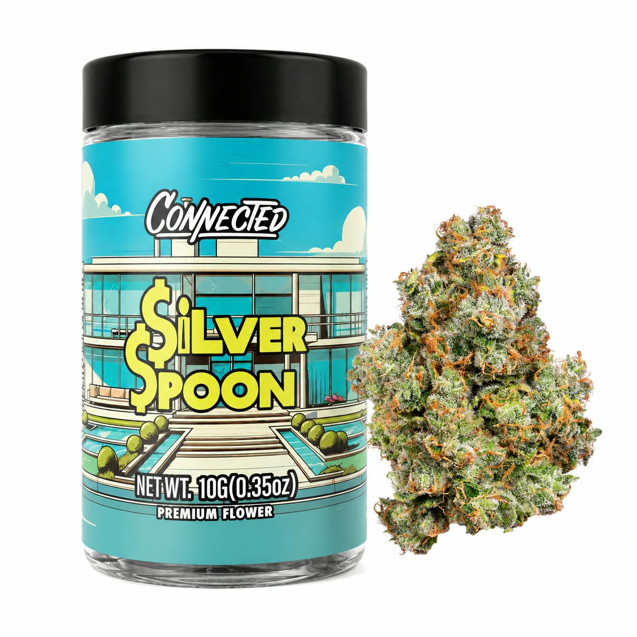 SILVER SPOON 10G