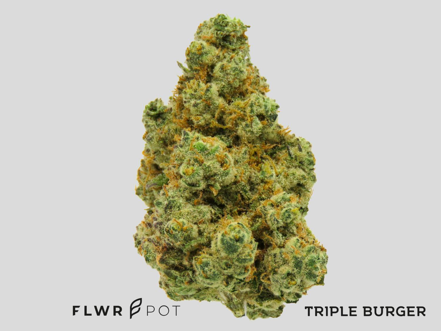 AU | FLWRpot | Triple Burger