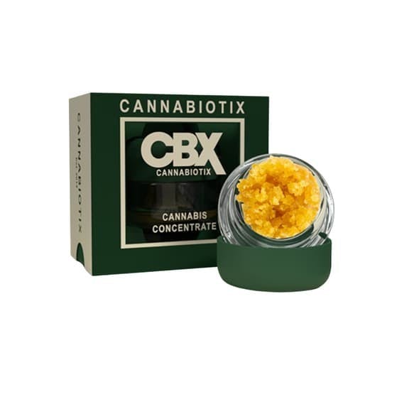CBX -: Orange Jetsetter