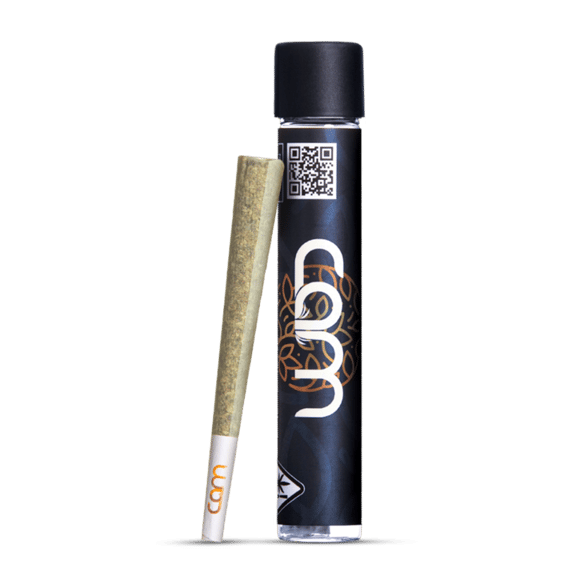 CAM - AGENT ORANGE - HYBRID - PREROLL - 1 g