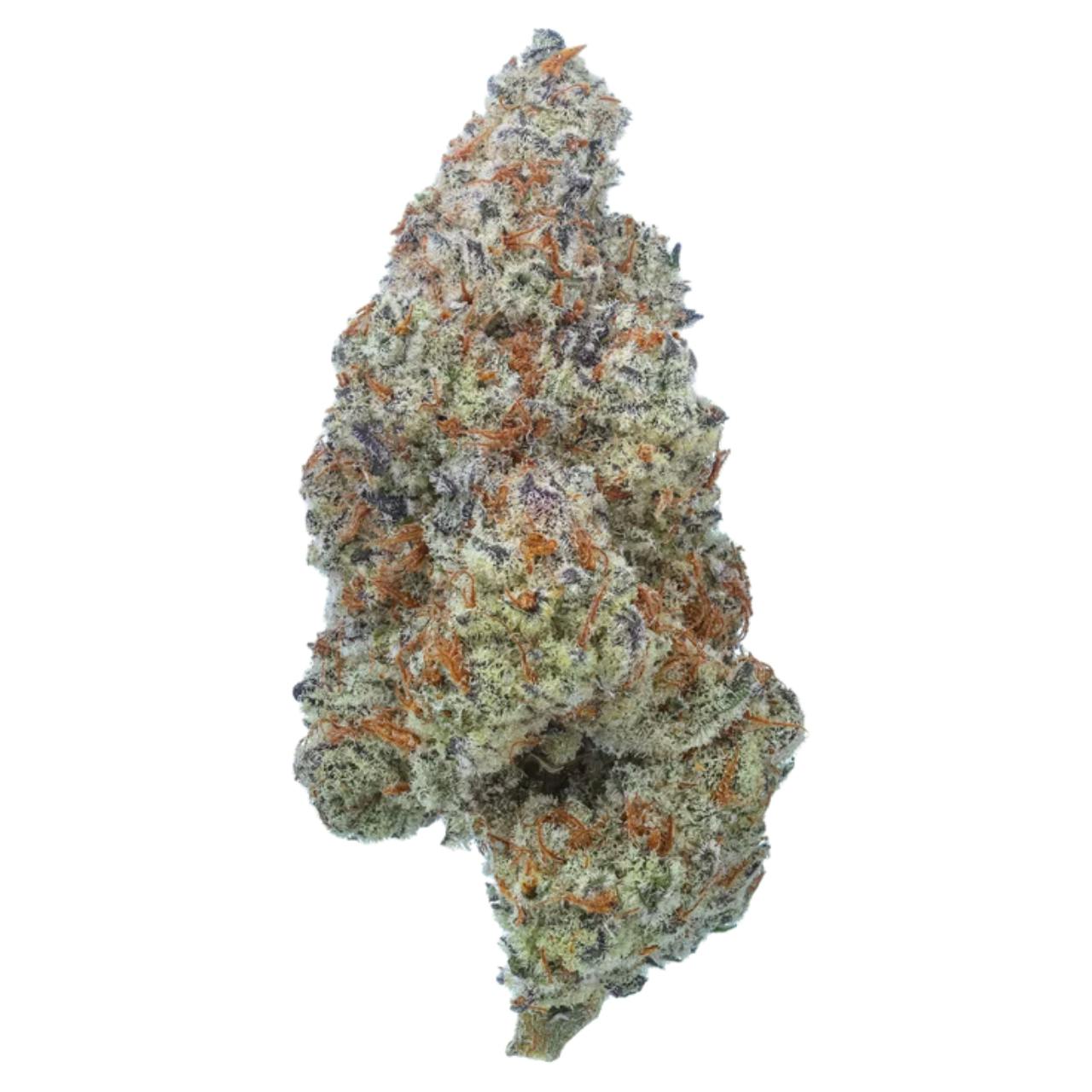 MOHAVE: Plasma Fruit