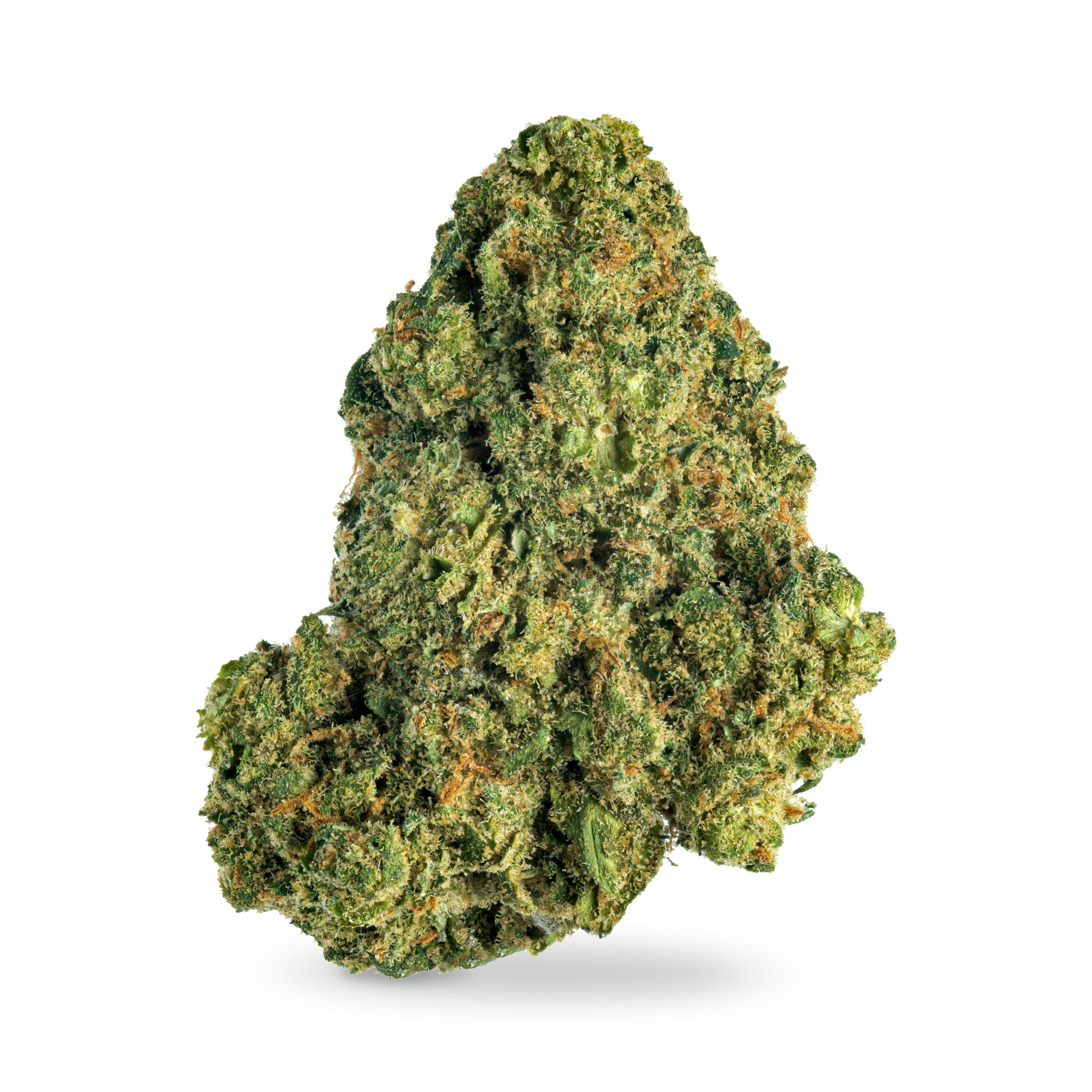 Jack Herer