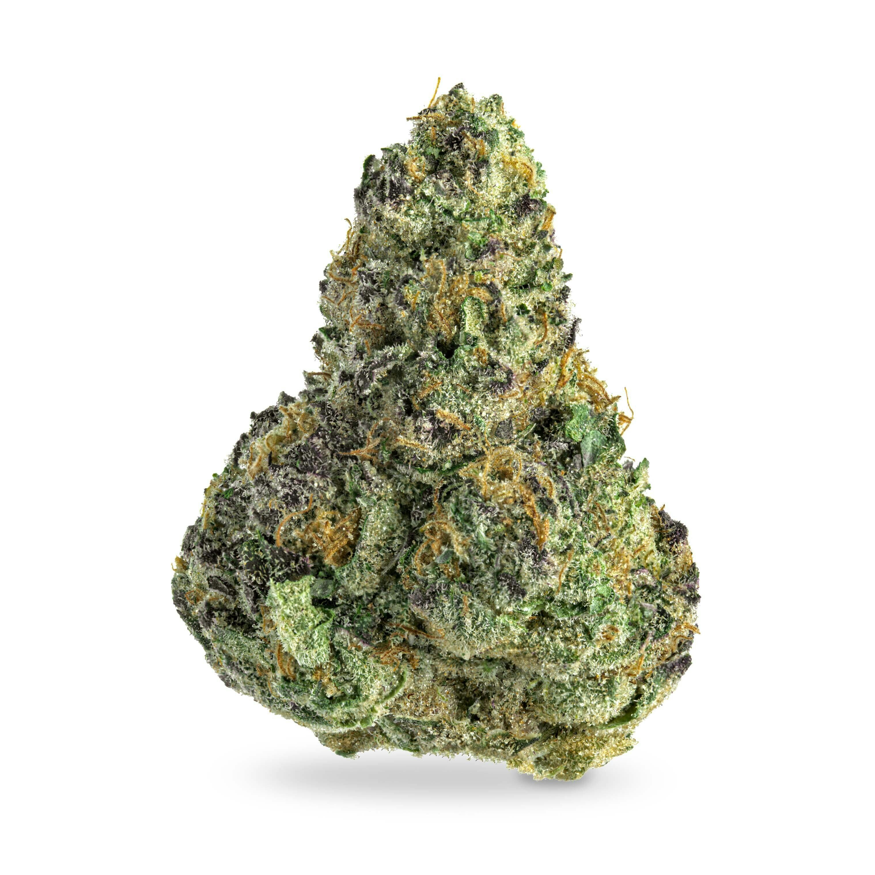 Kush Mintz