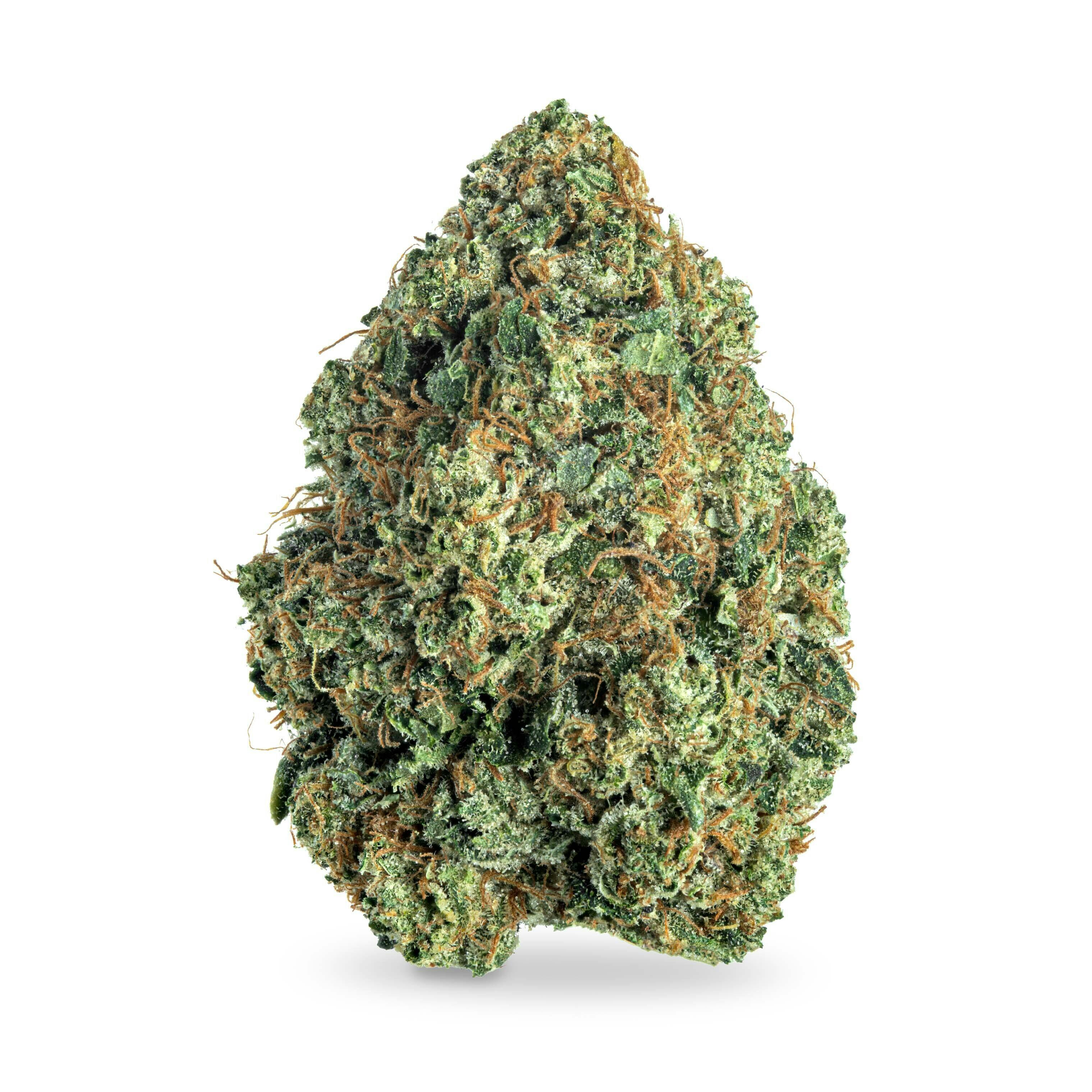 Sfv Og