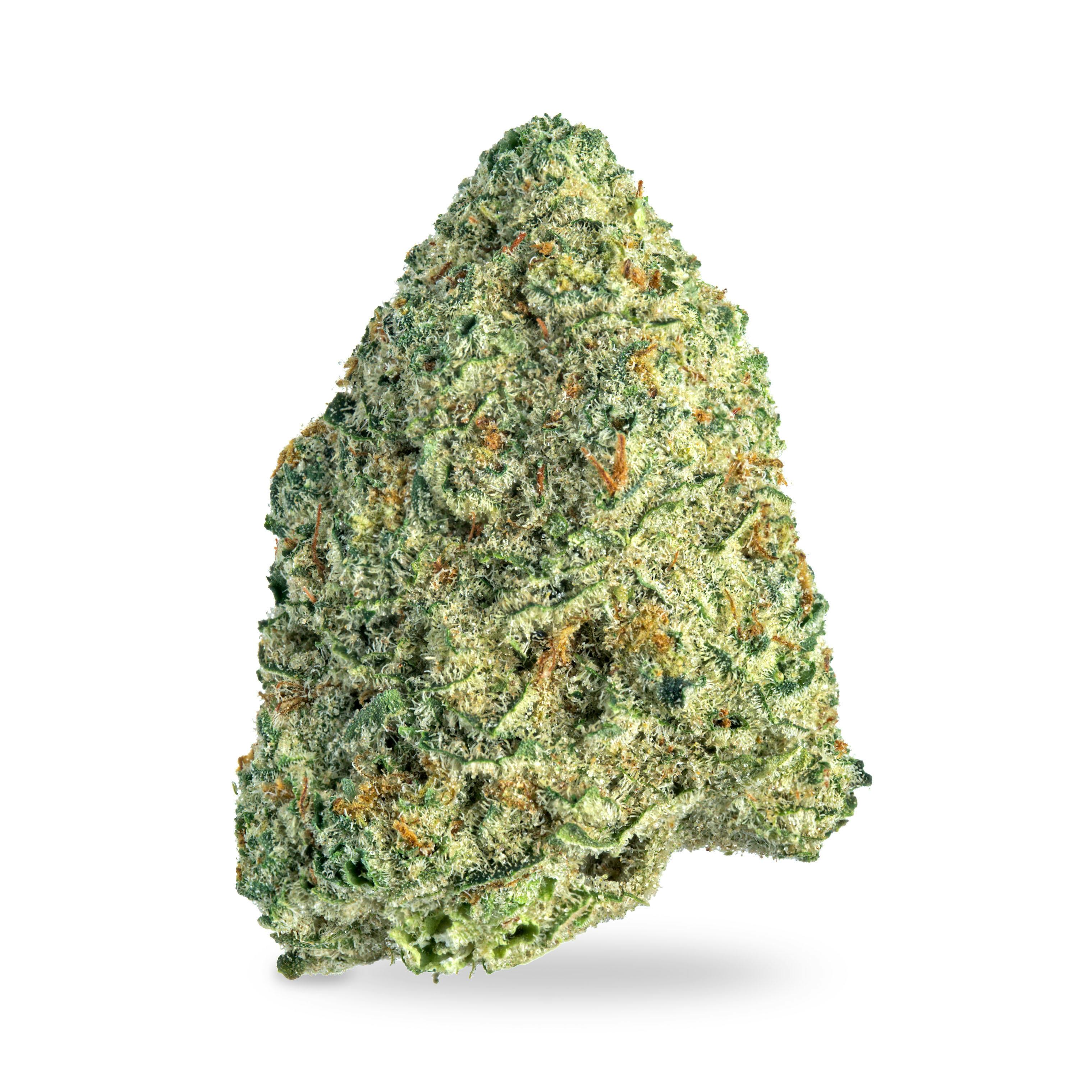 Papaya Fuel - Shake