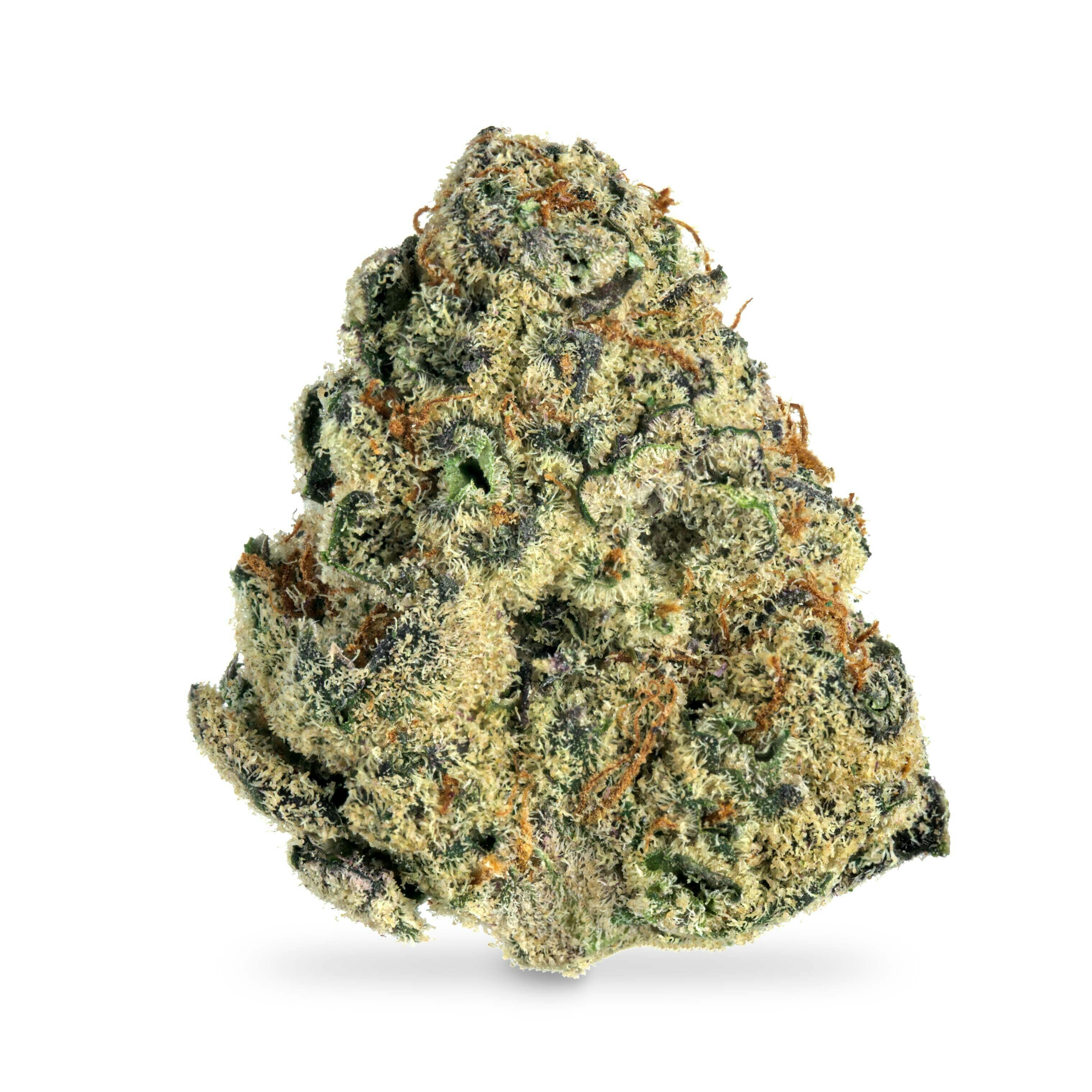 Gorilla Gas