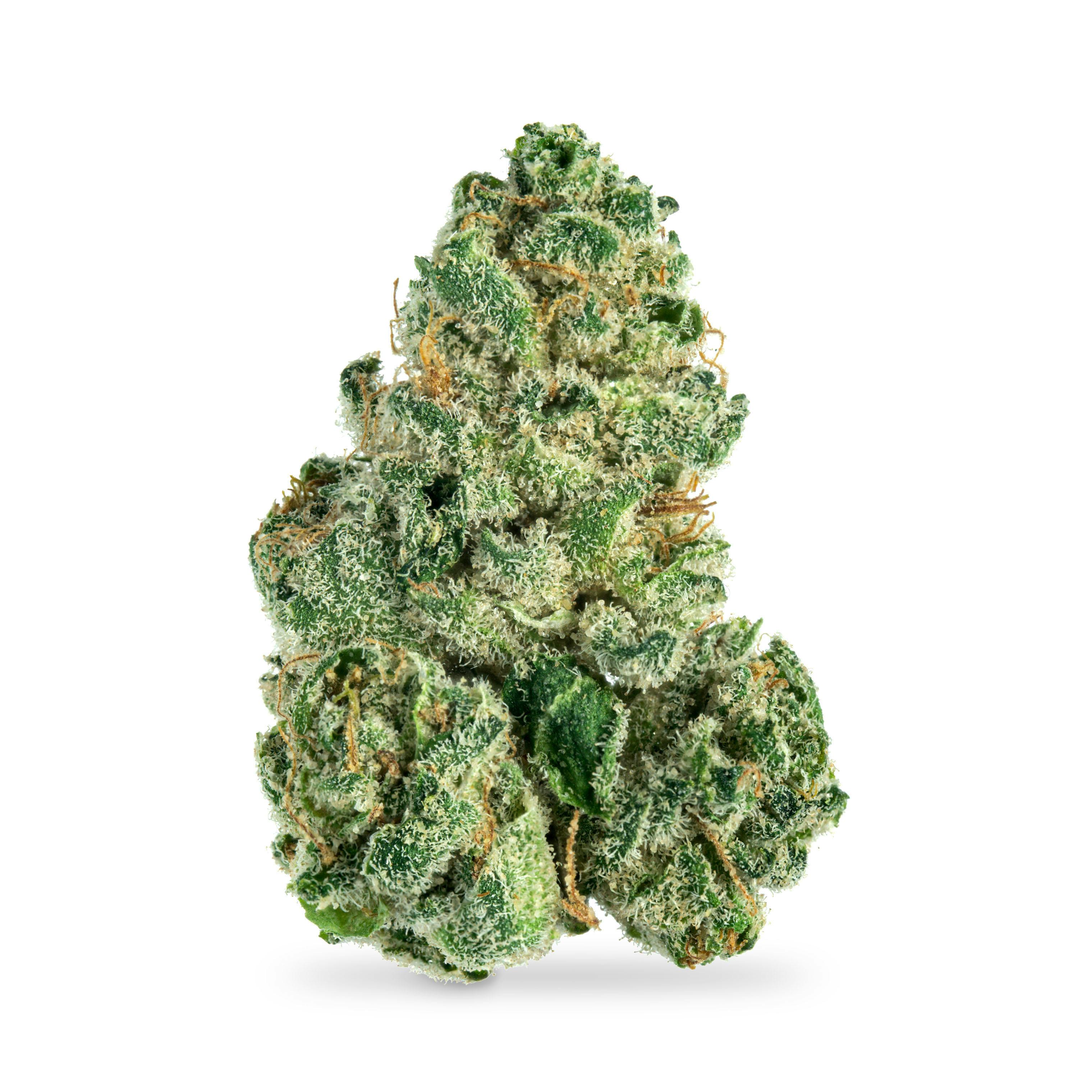Bananaconda #4