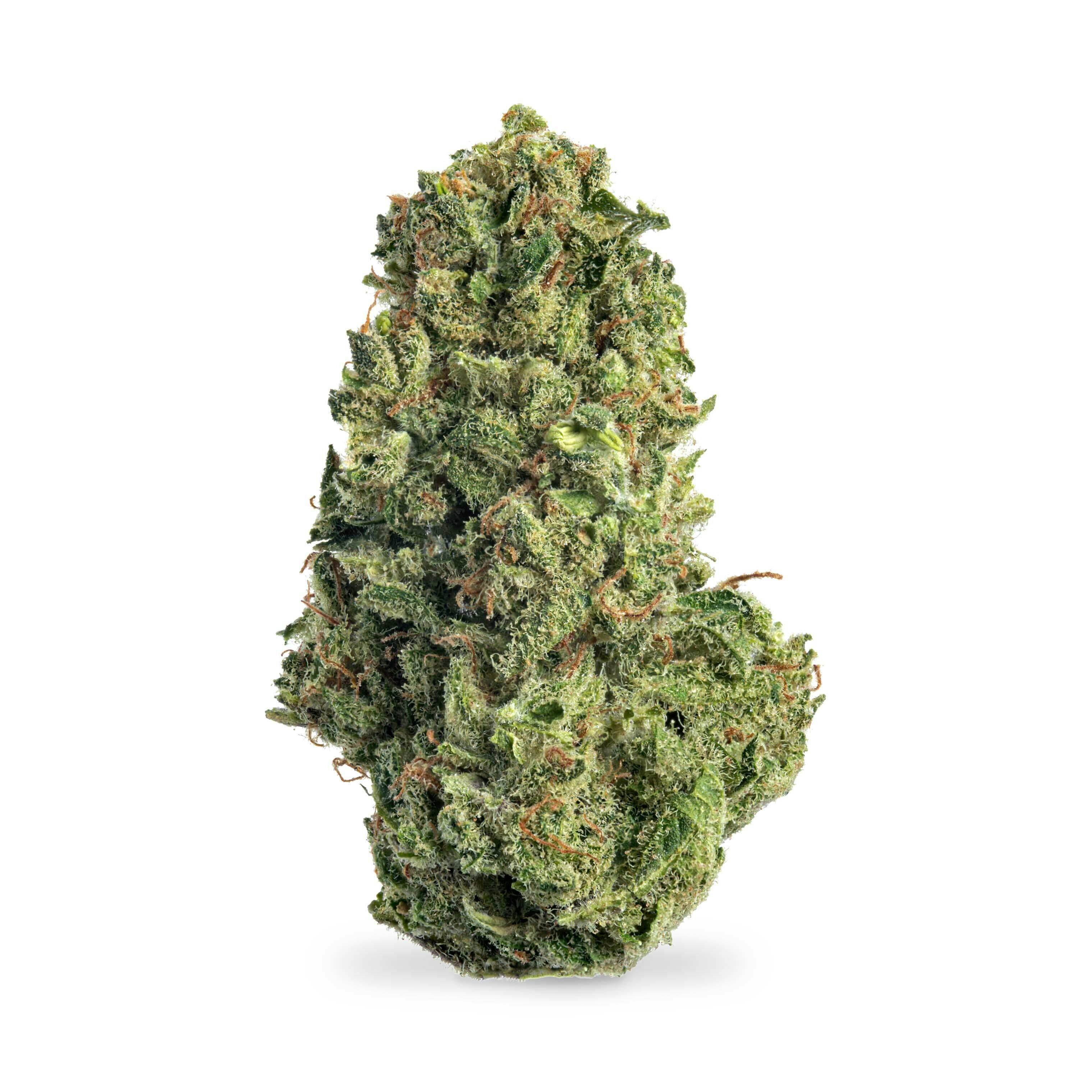 Gushers x Gelato 41