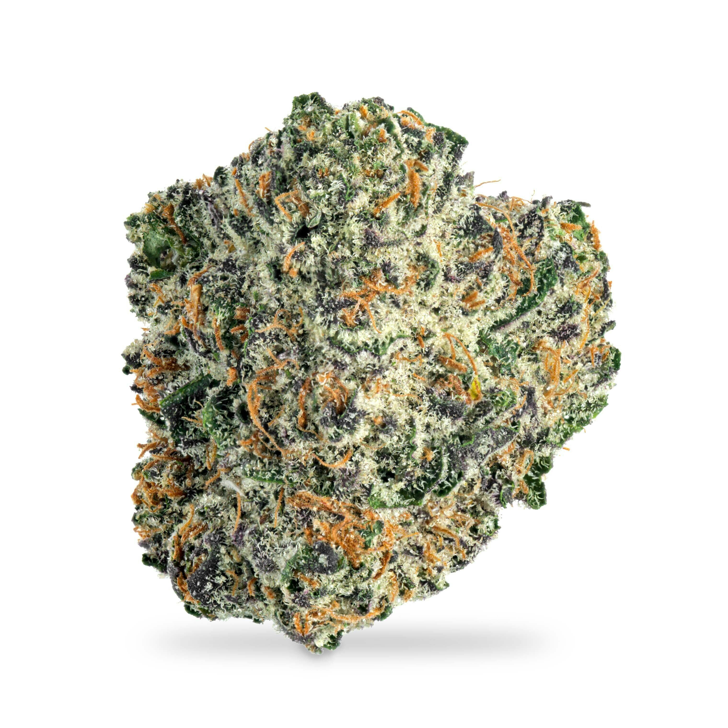 Glitter Bomb Gh