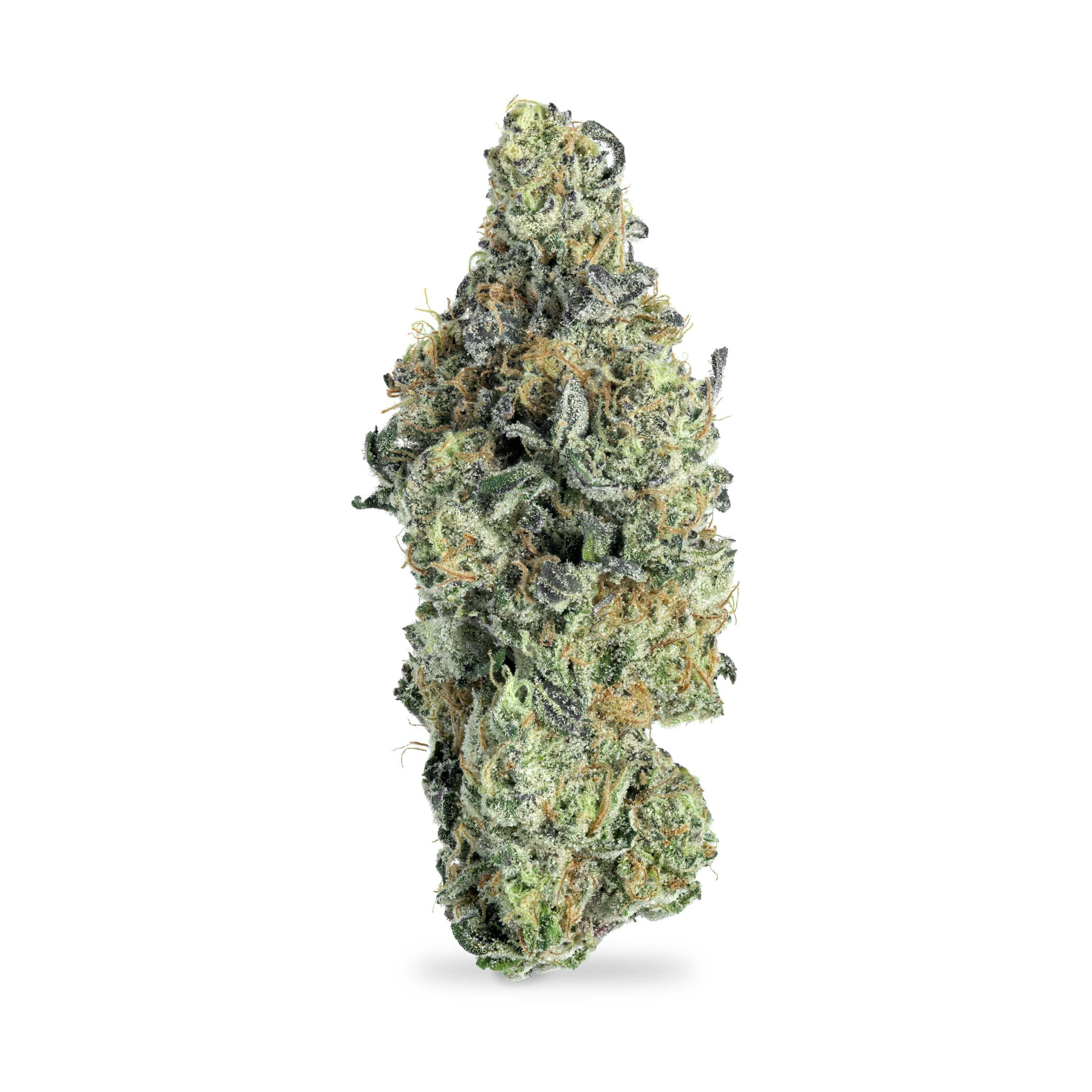 Kush Mintz at Top Crop Cannabis Dispensary - Sunland Park
