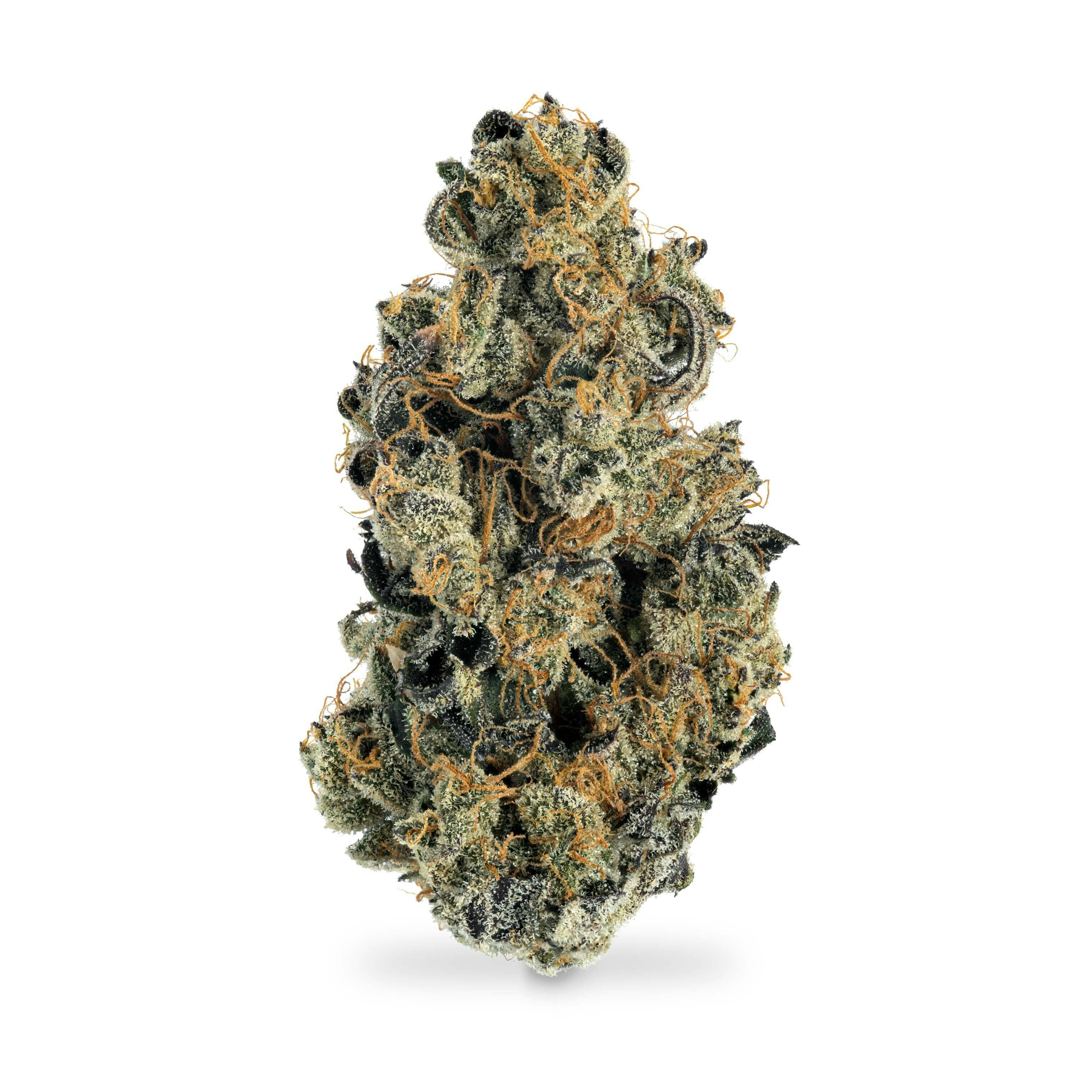 Master Kush