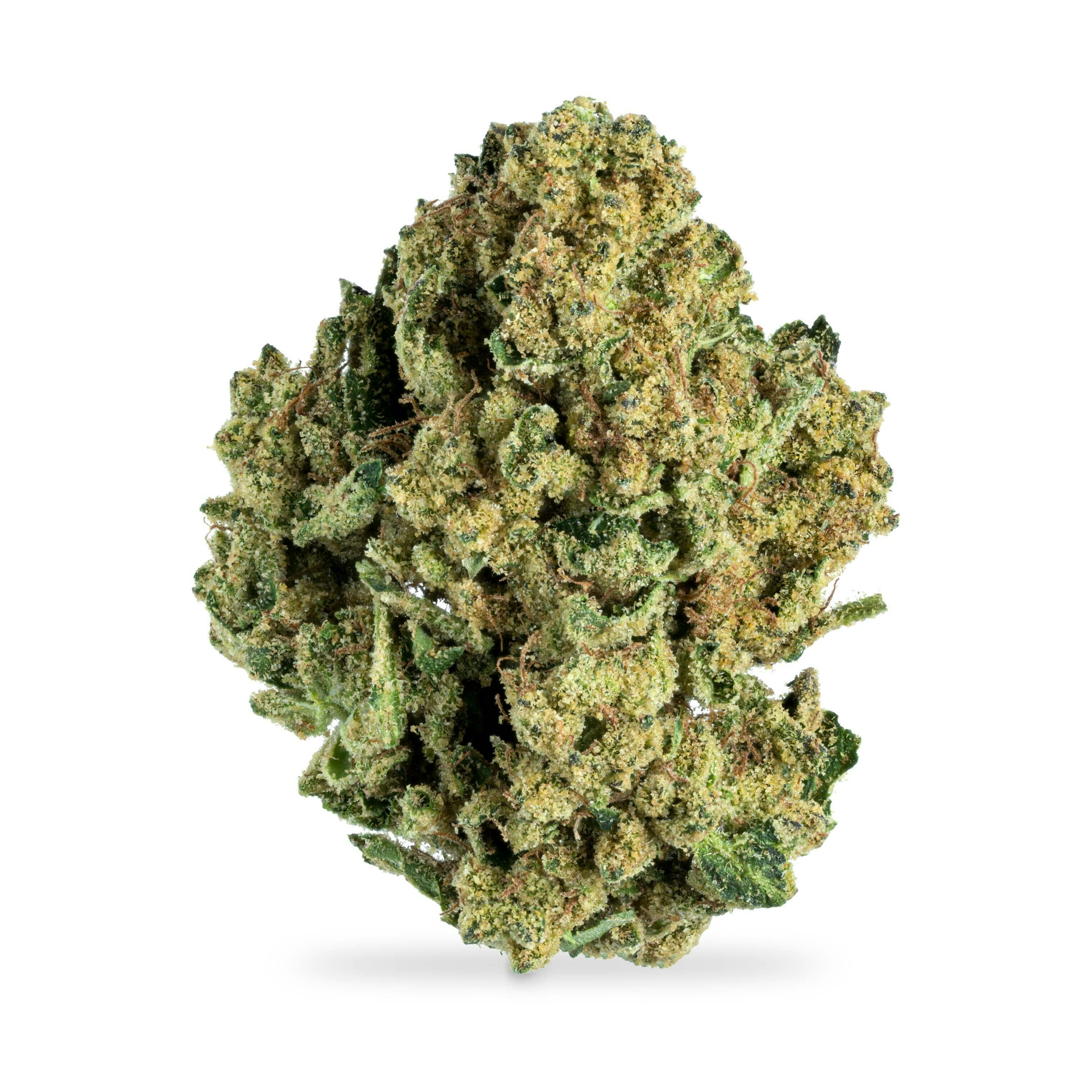 Zookies
