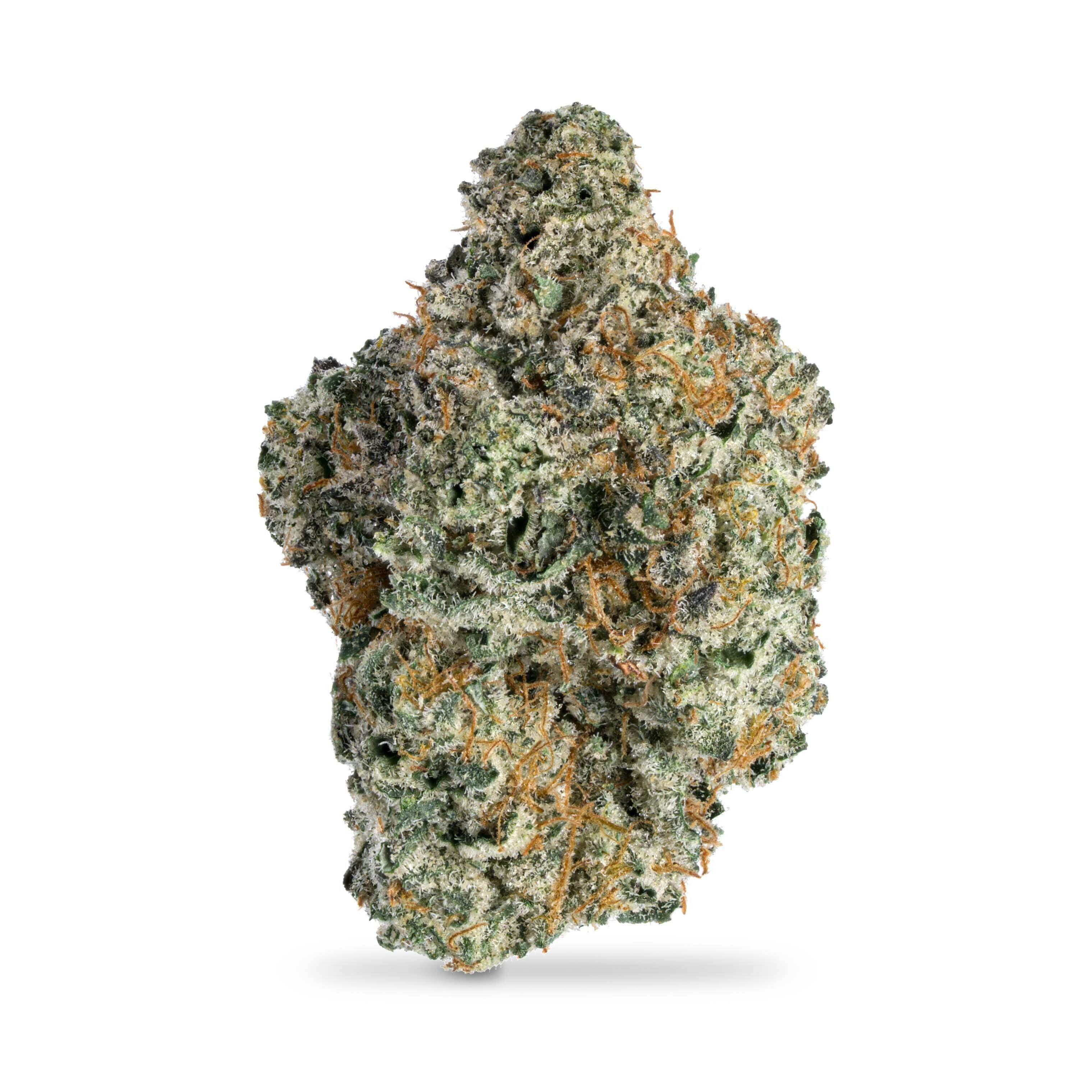 Zoap Pre-Pack