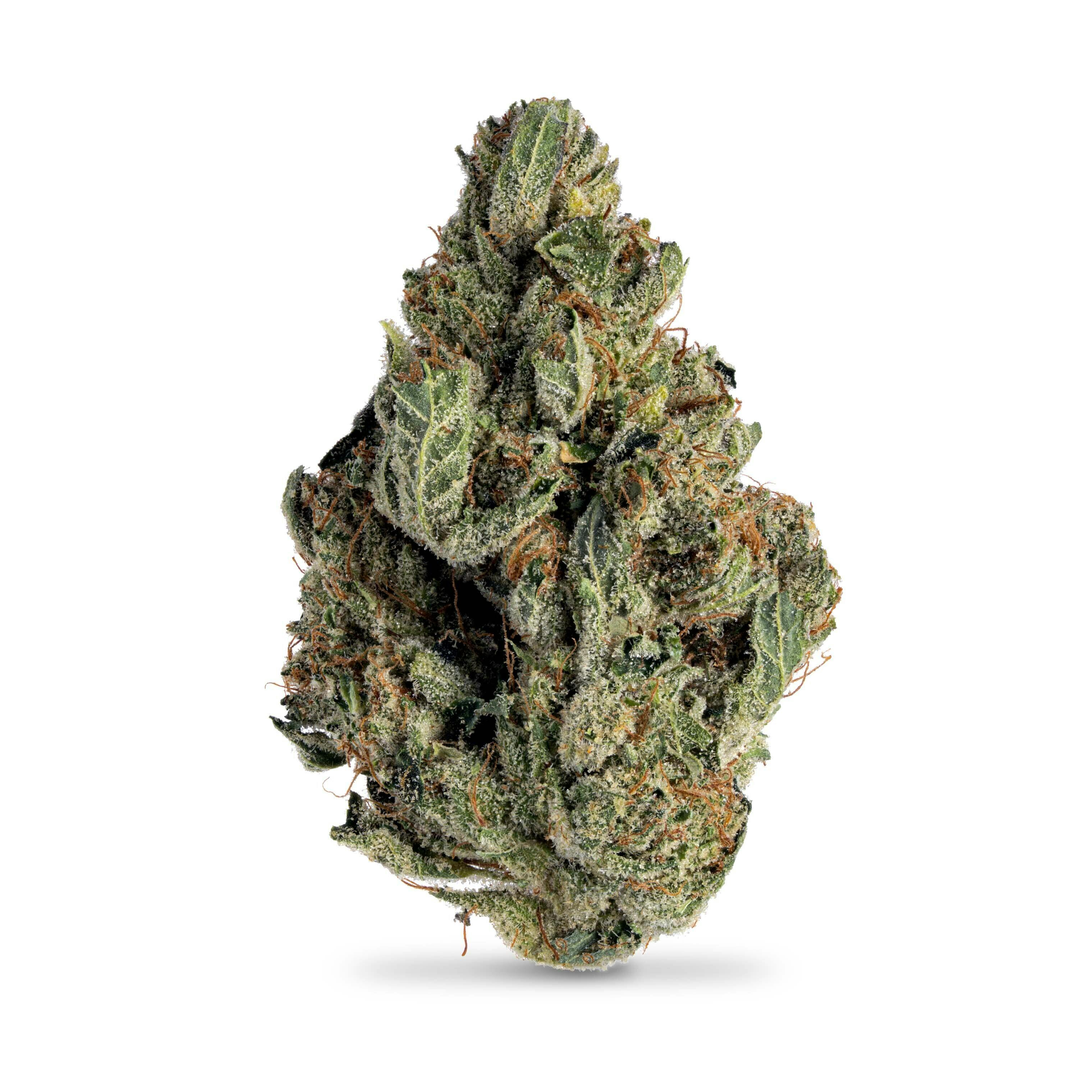 Presidential Kush