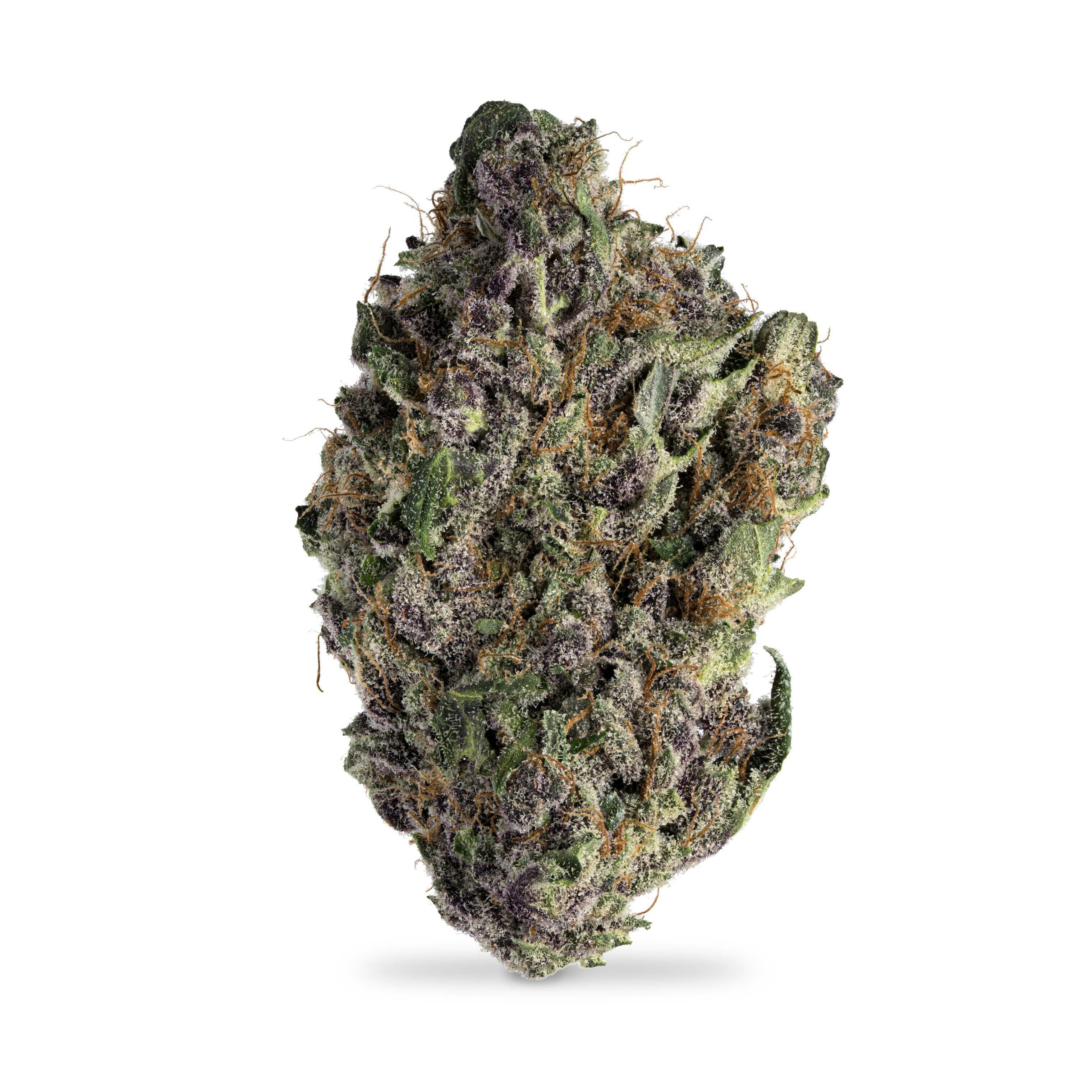 Epics Purple Haze