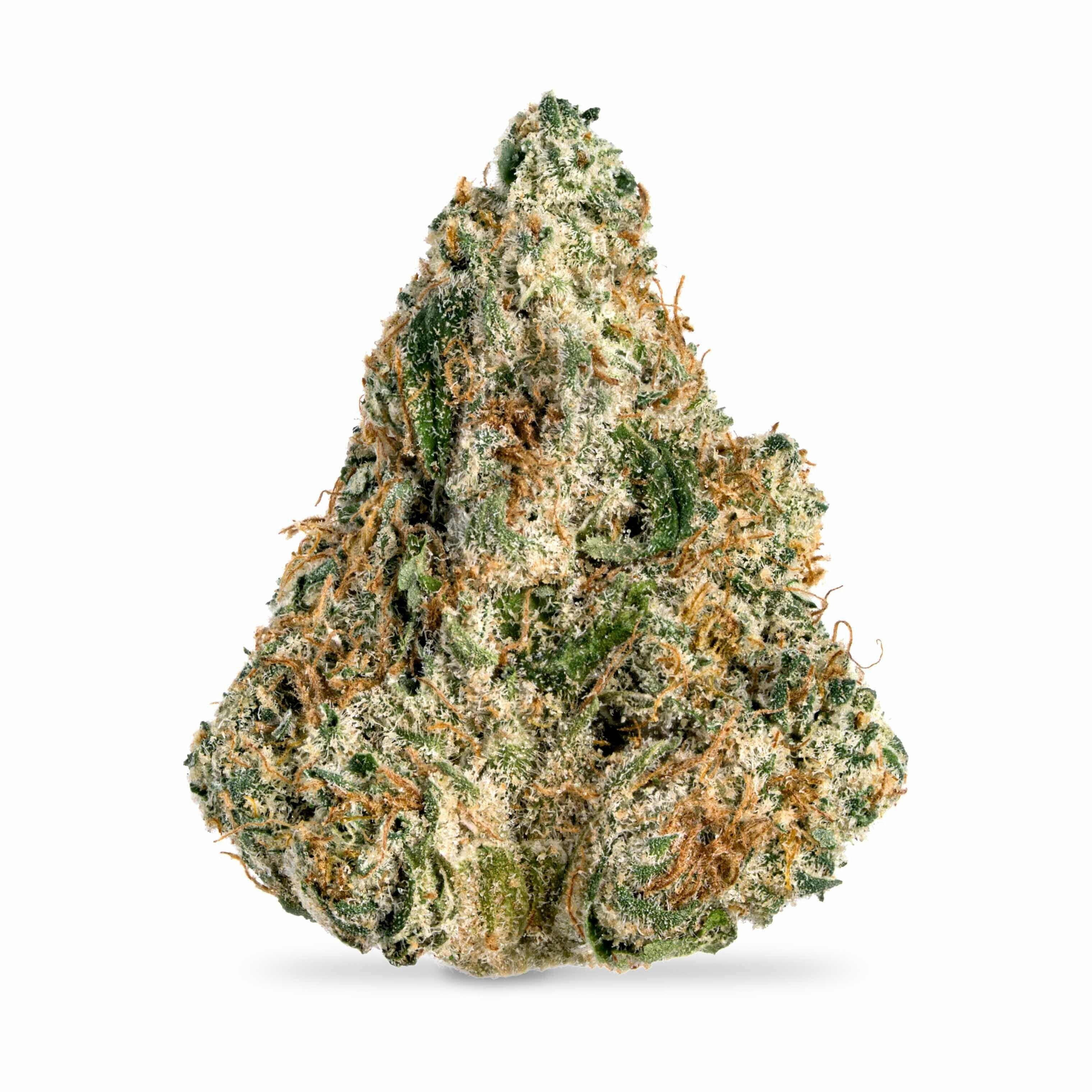 Jack Frost