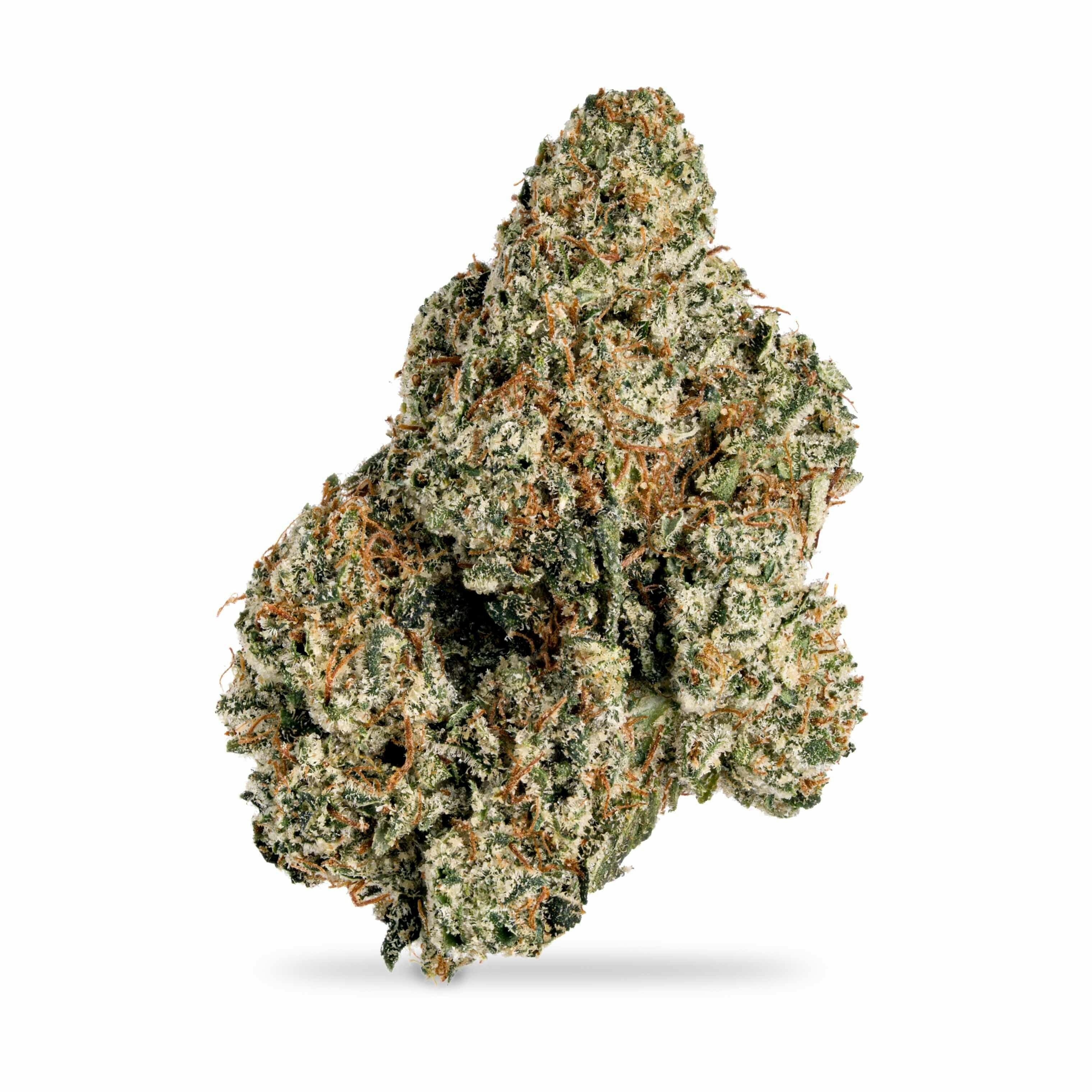 Star Dawg