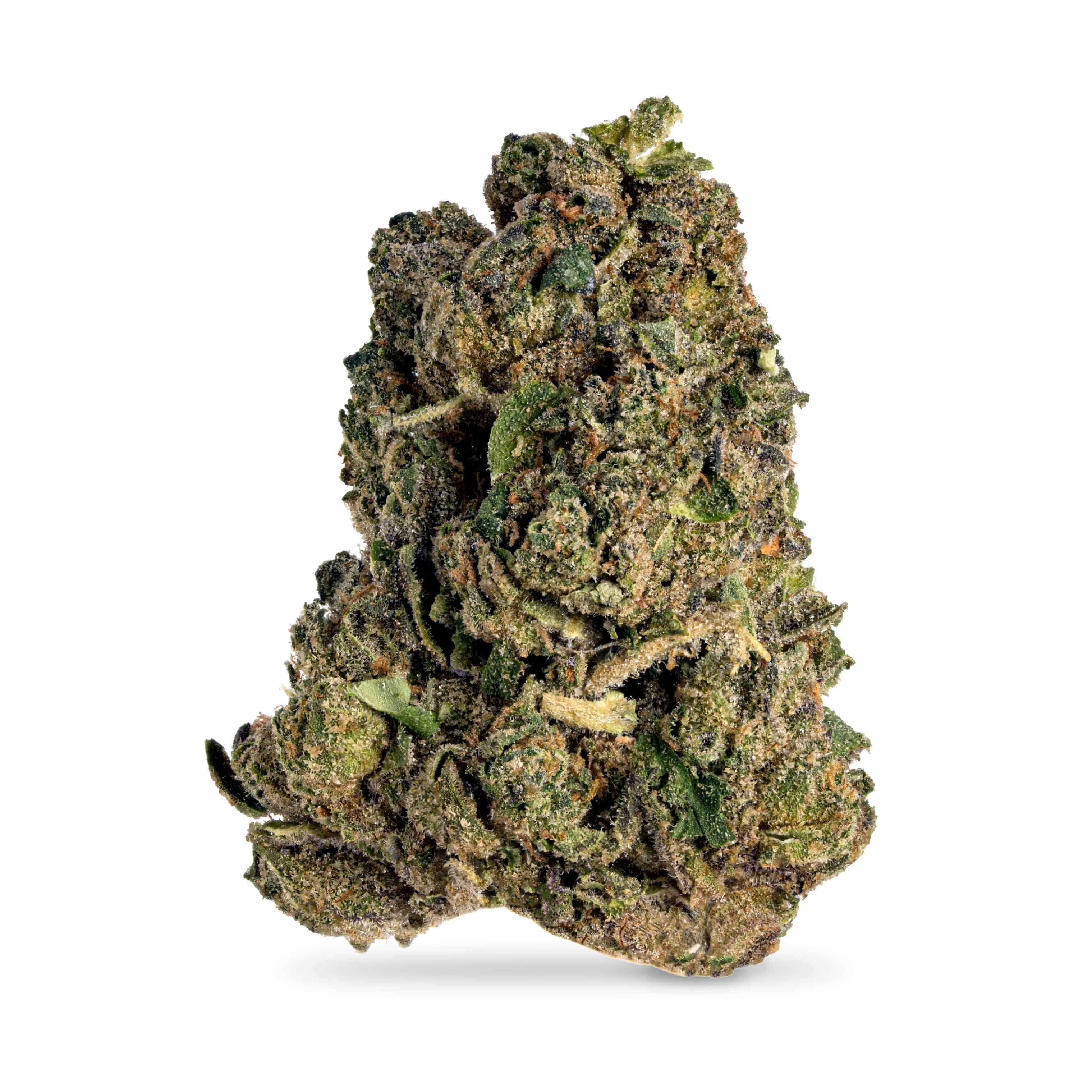 Stoney Hawk