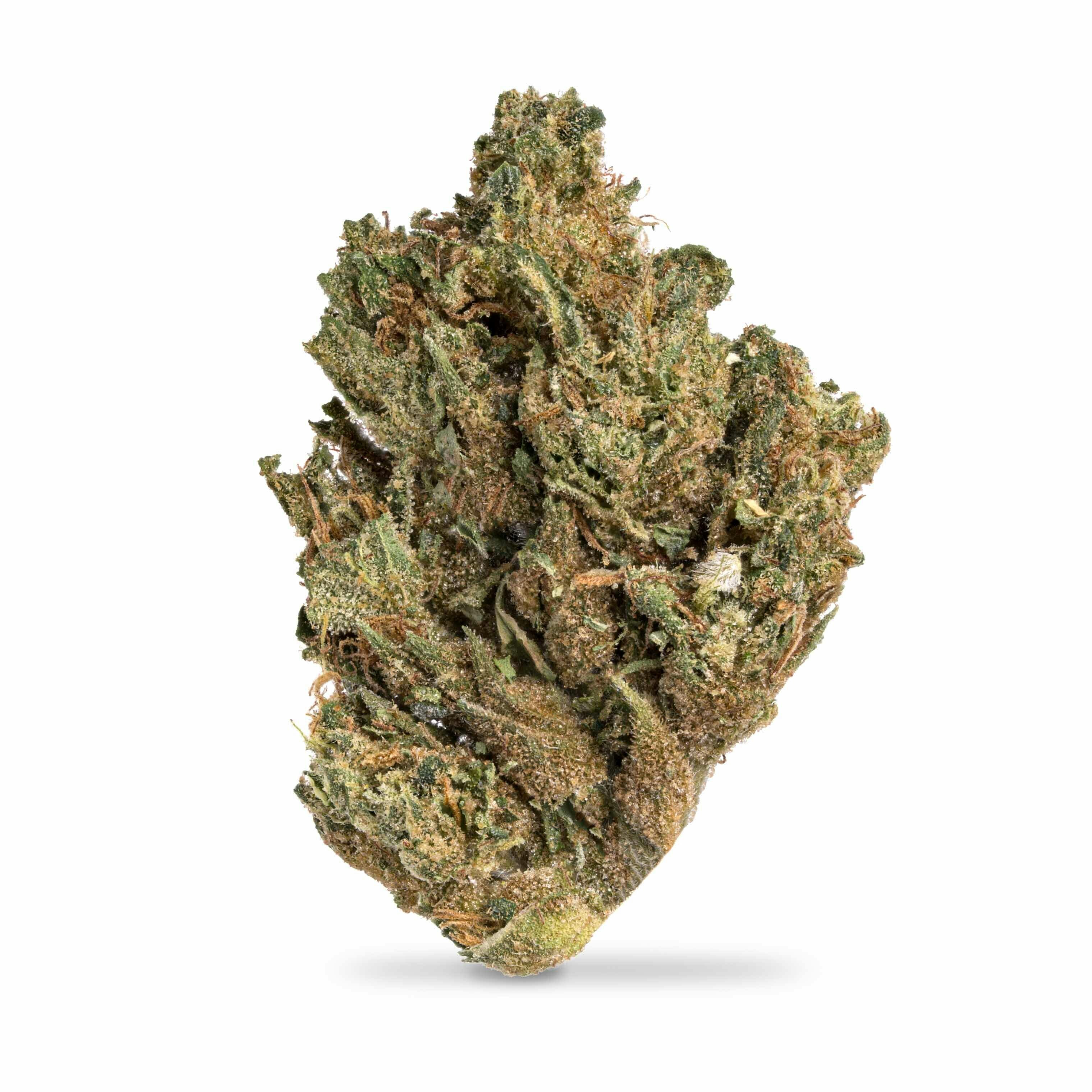G33 Shake
