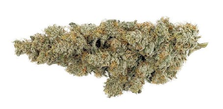 Ice Cream Cake x Kush Mints 11 - 3.5g