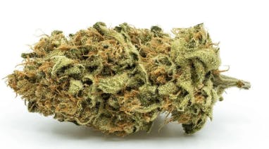 Outlaw - 7g
