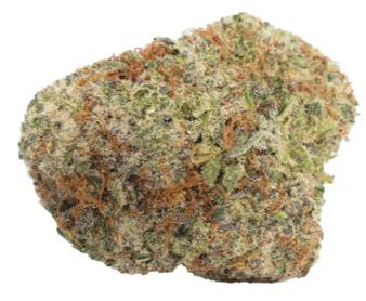 Golden Sand Castles (GSC) - 3.5g