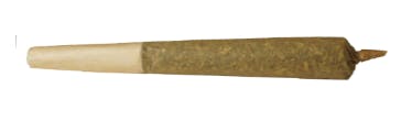 10th Planet Pre-Rolls - 10x0.5g