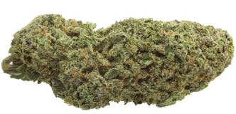 Organic Sour Cookies - 1g