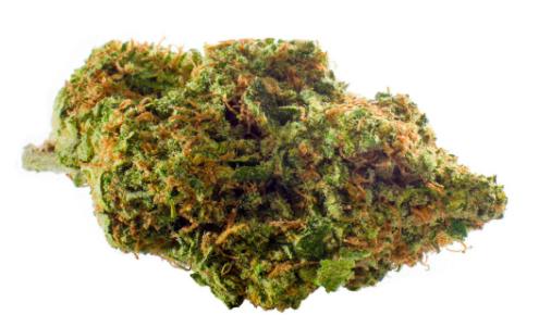 Glueberry OG - 1g
