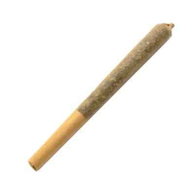 Animal Sorbet Pre-Roll - 3x0.5g