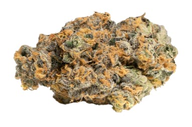 GP20 (Smalls) - 14g