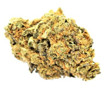 Orange Jet Fuel Flower - 7g