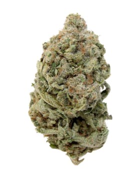 Grapefruit God Bud 2.0 - 1g