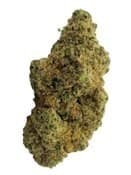 ShuCanna Citrus Rock Smalls