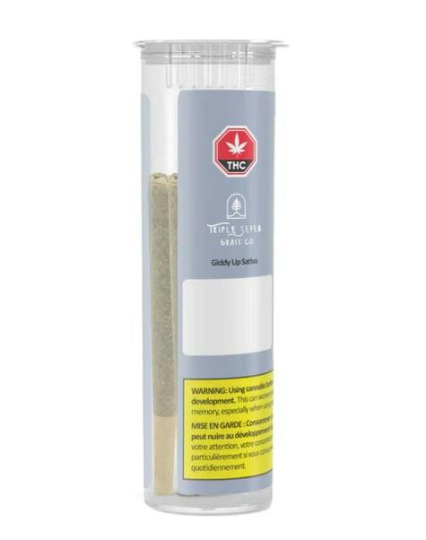 Giddy Up Sativa - 5pk