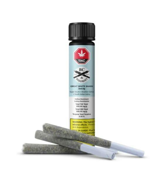 Great White Shark Pre-Rolls - 3pk