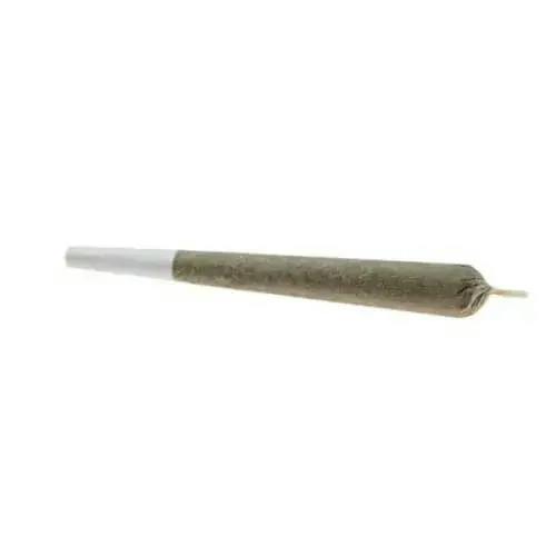 Organic Lemon Diesel (2.3%T) - 10pk
