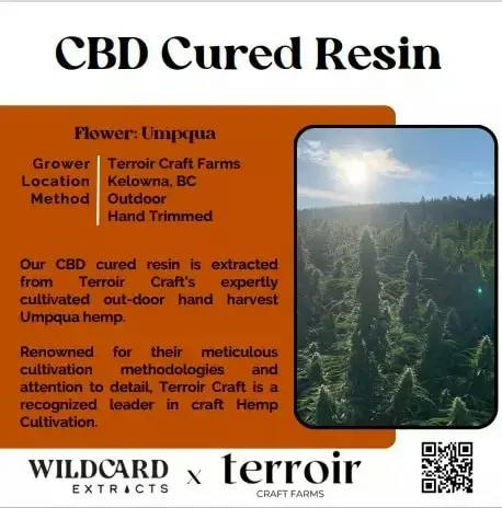 Umpqua CBD Cured Resin (6%Terps)