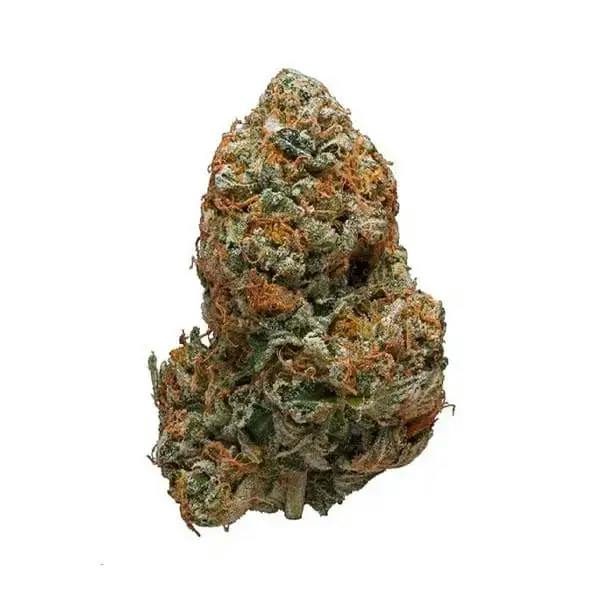 BC Key Moh Kush