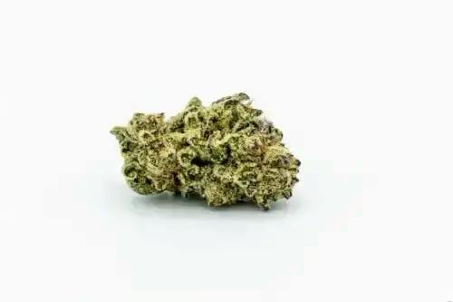 BC Organic Cookie God (2.8%Terps)