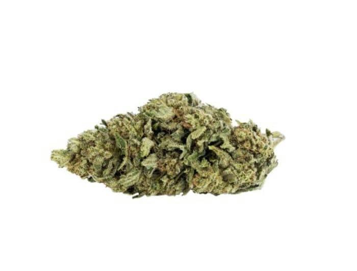 Nostalgia Infused CBD Flower (2%T)