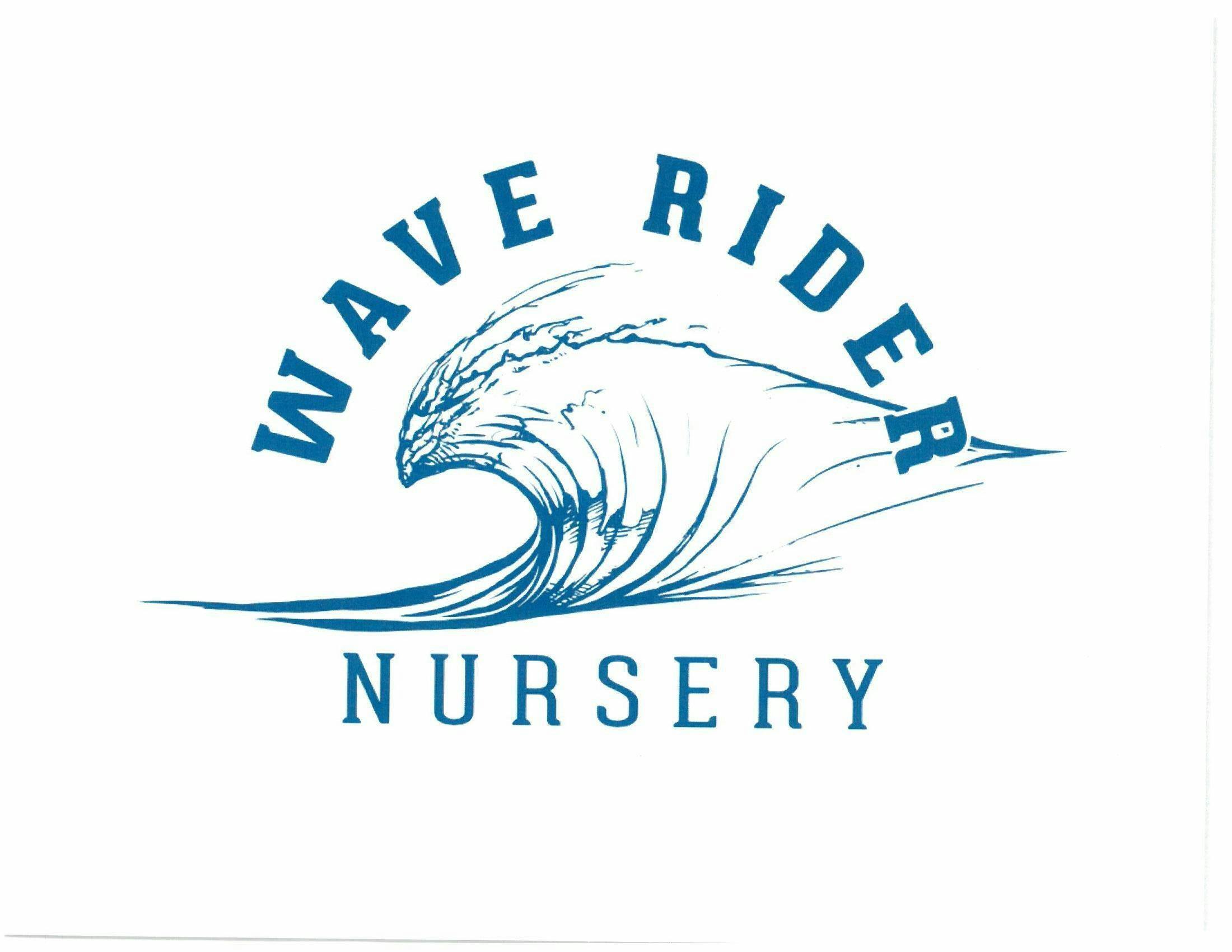 WAVE RIDER SUPER: Lemon Haze