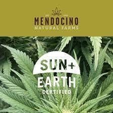 Mendocino Natural Farms — Gush Mintz Strain