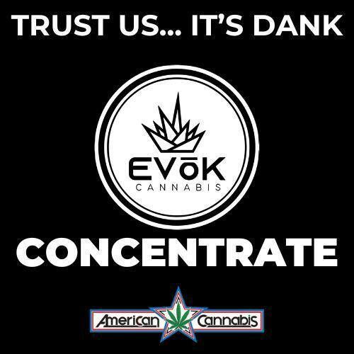 [Concentrate] EVoK Breath Mintz Sugar 1g [Hybrid]