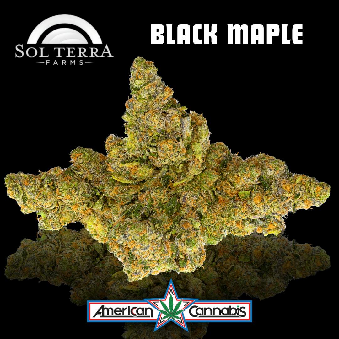 [Flower] Sol Terra Black Maple 14g [Indica]